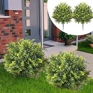 two bushes in front of a house with the same image on it's side