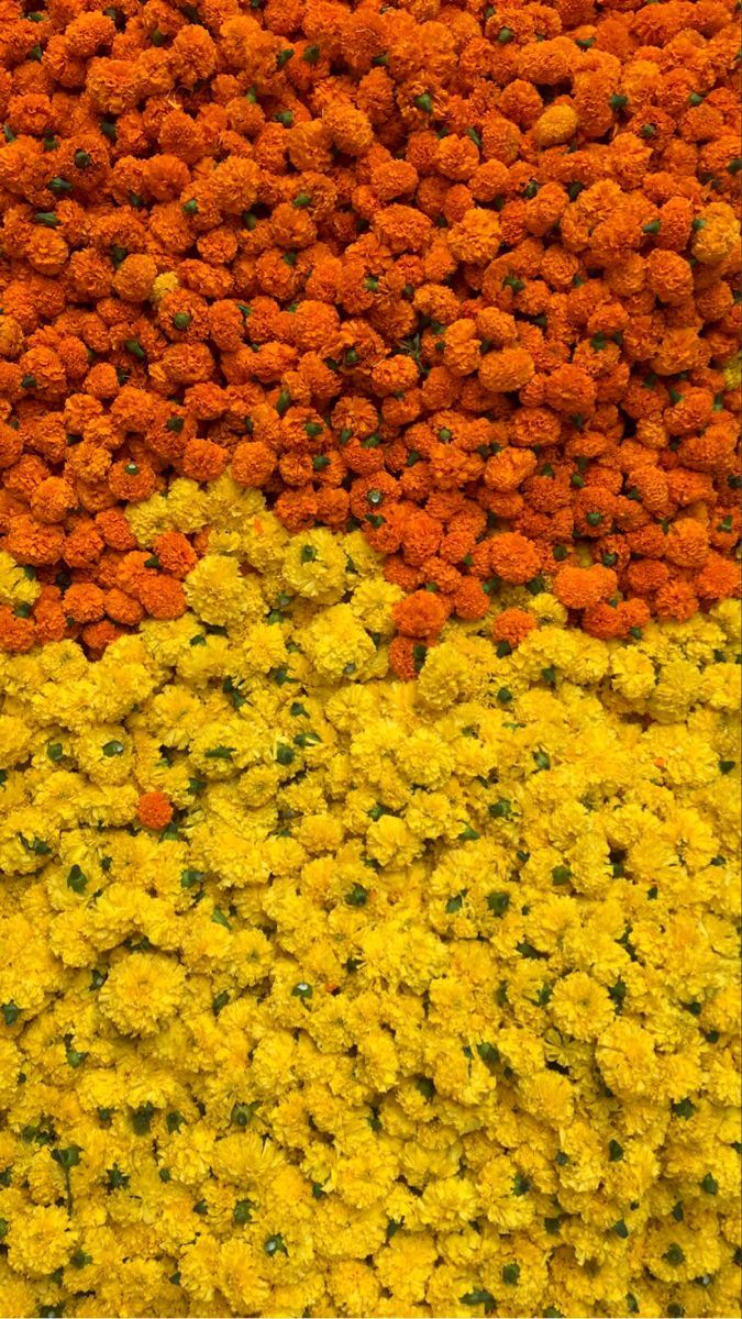 an arrangement of flowers arranged in different colors