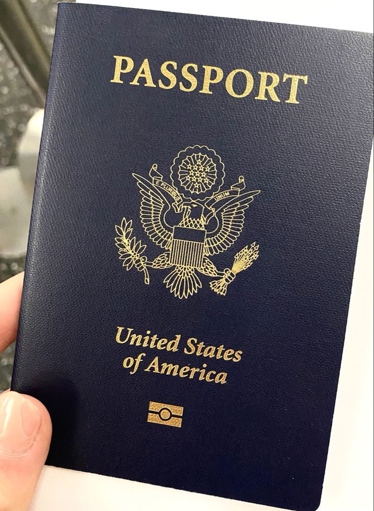 a person holding up a passport in their hand