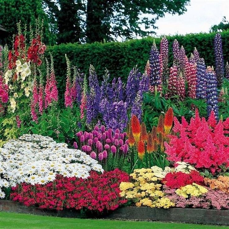 many different colored flowers in a garden