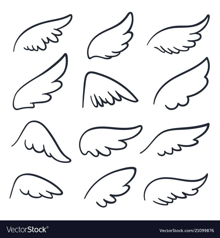 wings drawn in black and white on a white background stock photo, images and royalty