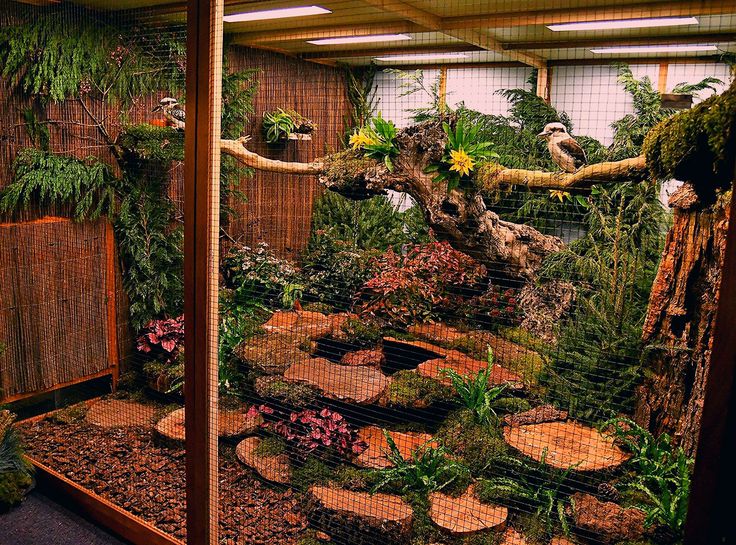 a room filled with lots of plants and rocks