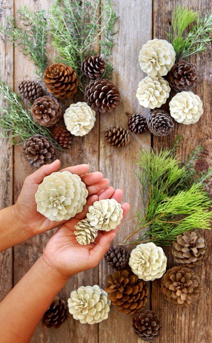 pine cones and evergreen needles are arranged in the shape of a circle on a wooden table