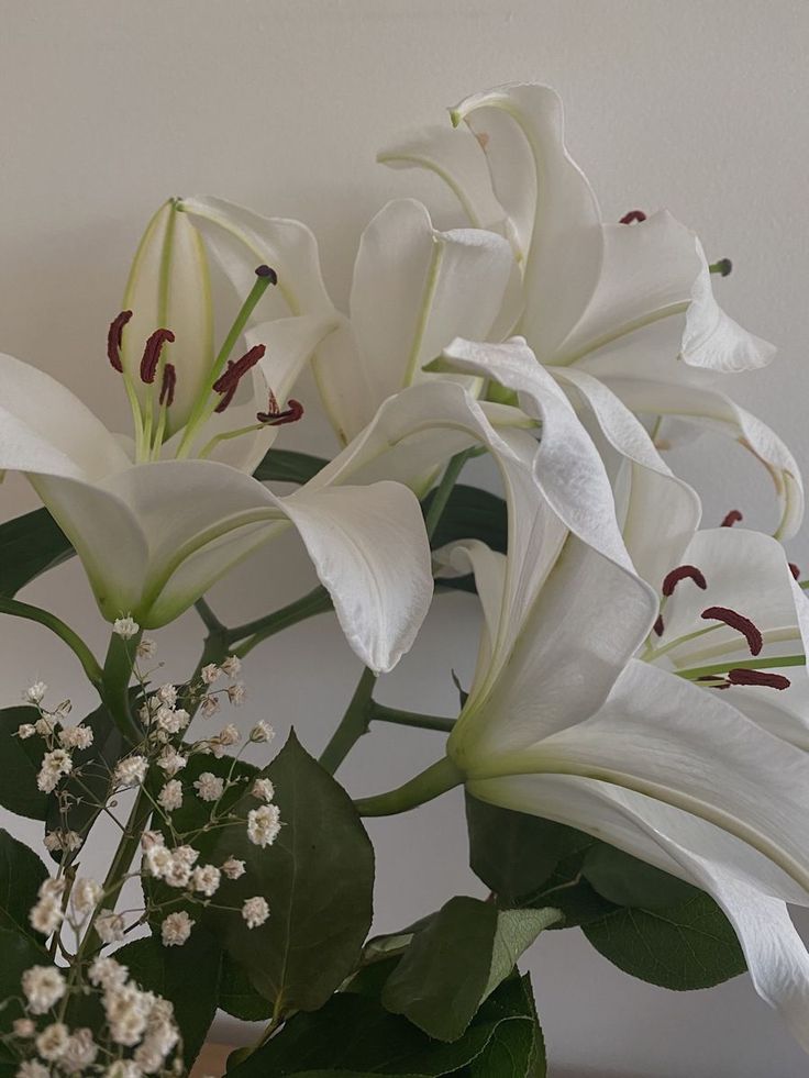 some white flowers are in a vase on a table