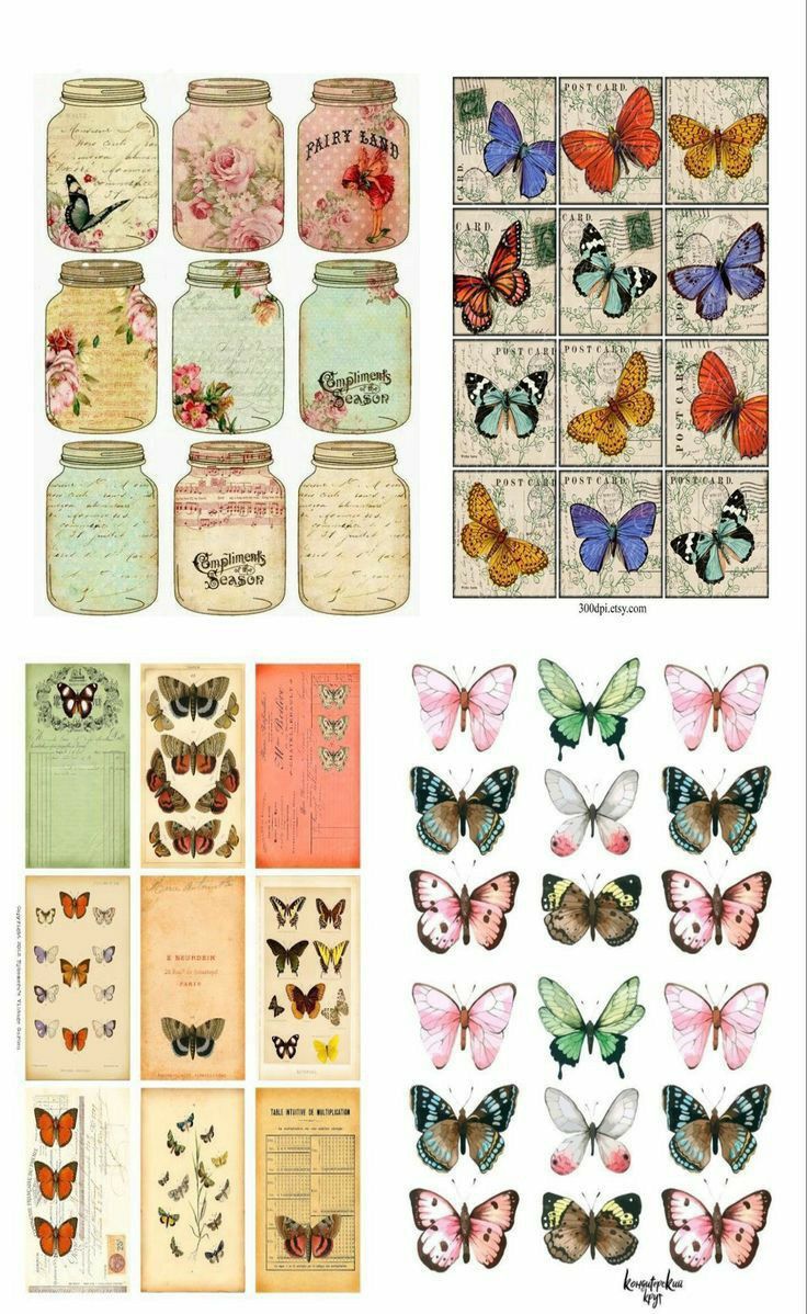 many different butterflies and jars with labels on them