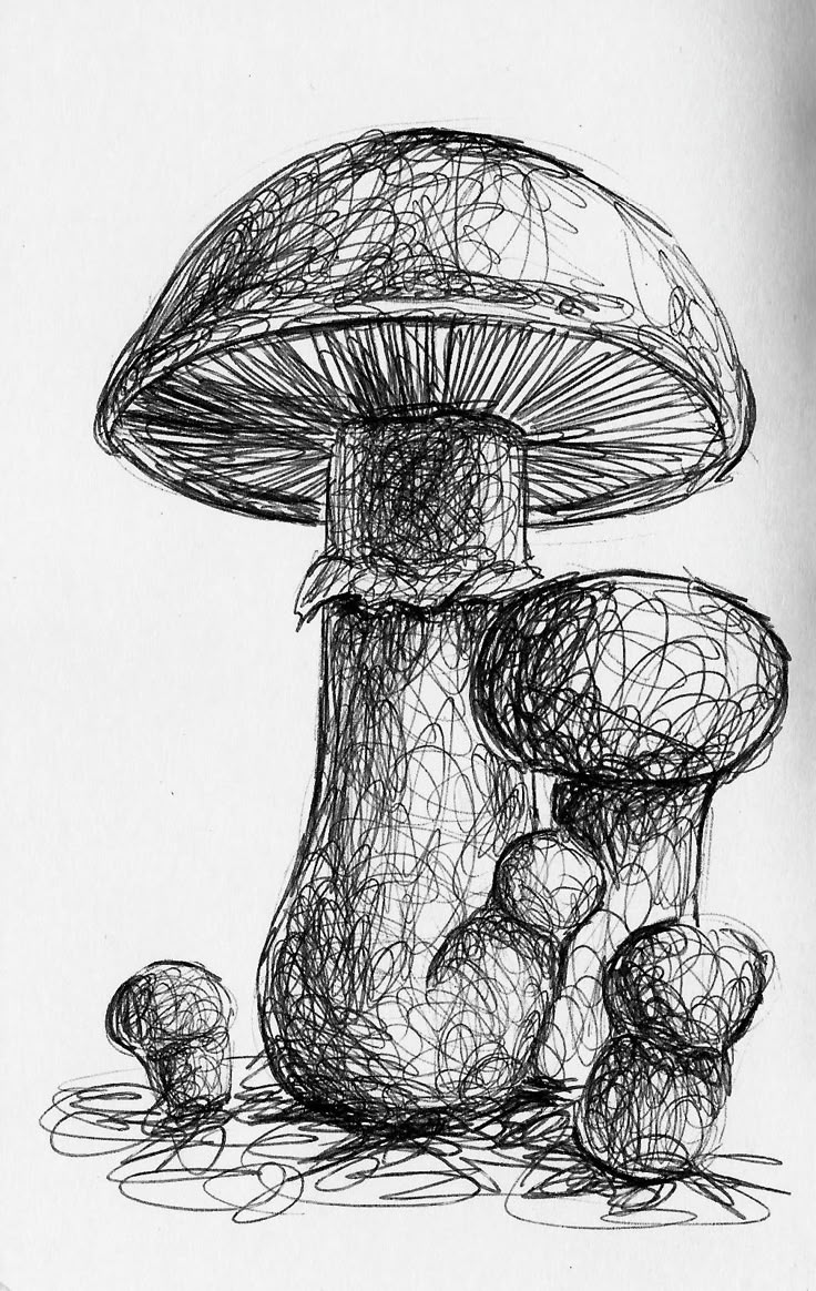 a black and white drawing of a mushroom with three mushrooms around it on the ground