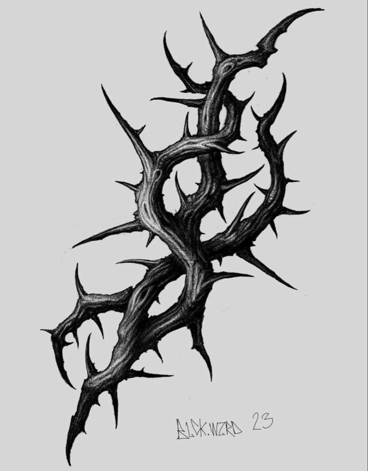 a black and white drawing of a tree branch