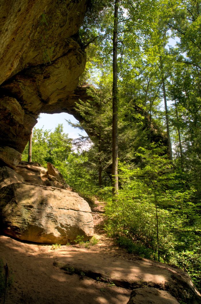 a large rock formation in the middle of a forest