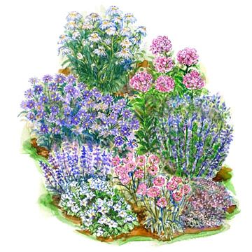 an illustration of different types of flowers in the grass and dirt, including pinks, purples, and green