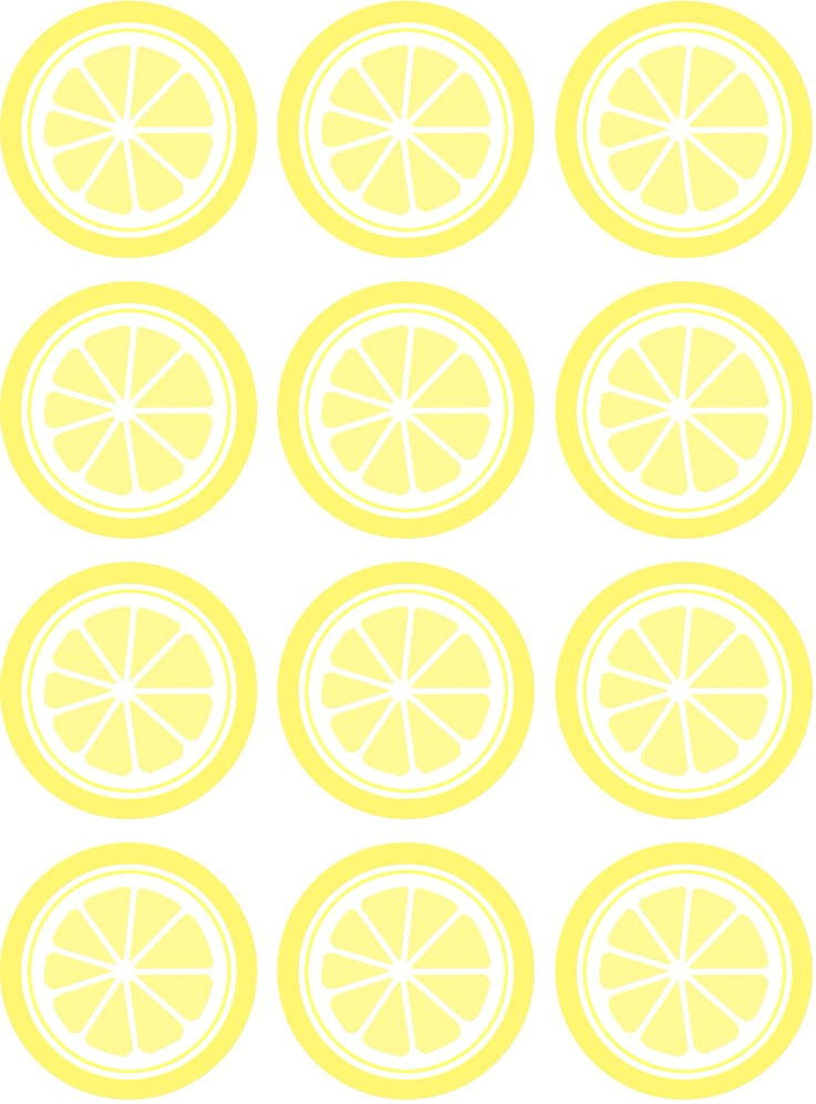 the lemons are cut in half and ready to be used as wall art or decoration