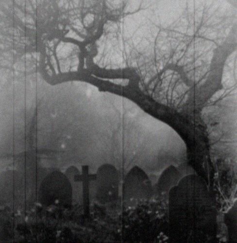 an old cemetery with tombstones and a tree in the foreground on a foggy day