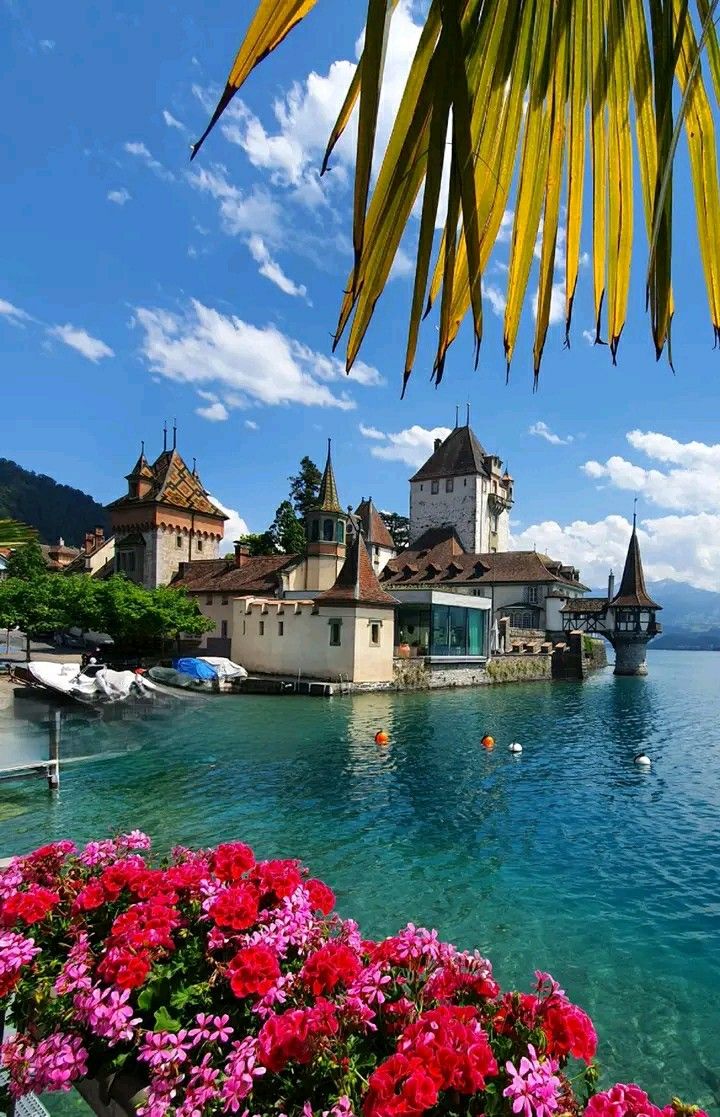 flowers are blooming in front of the water and buildings on the other side of the lake