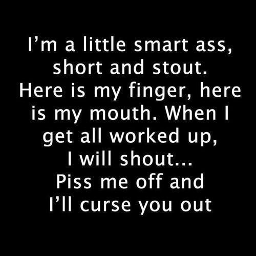 Don't piss me off! Smartass Quotes, Funny Bones, Humor Inappropriate, Special Quotes, My Mouth, Sarcastic Quotes Funny, Sarcastic Humor, Quotable Quotes, Sarcastic Quotes