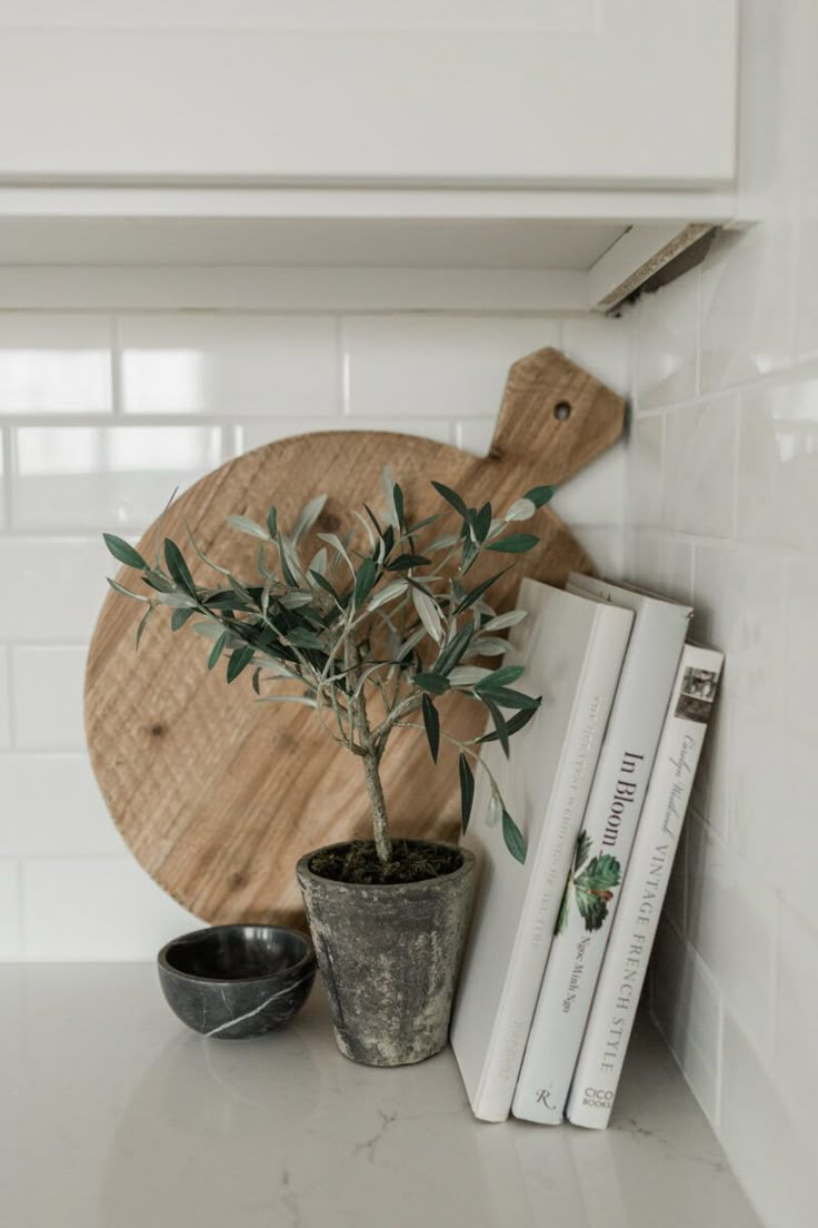 a potted plant sitting on top of a counter next to books and a cutting board