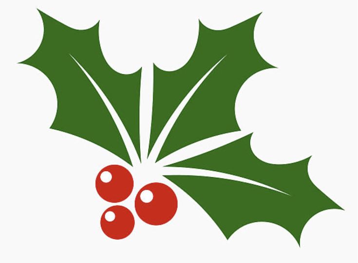 a holly berry with green leaves and red berries