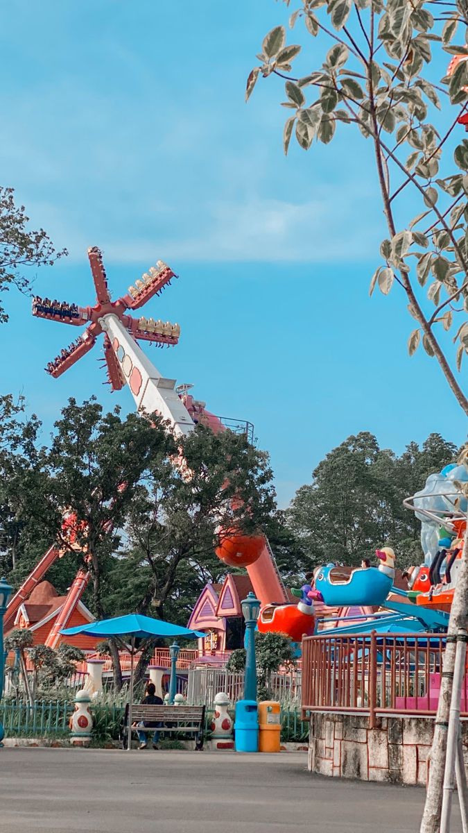 an amusement park with several rides and trees