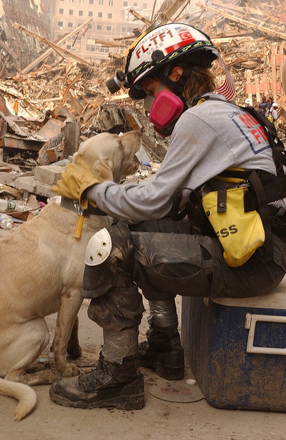 a man sitting on top of a trash can next to a dog wearing a helmet