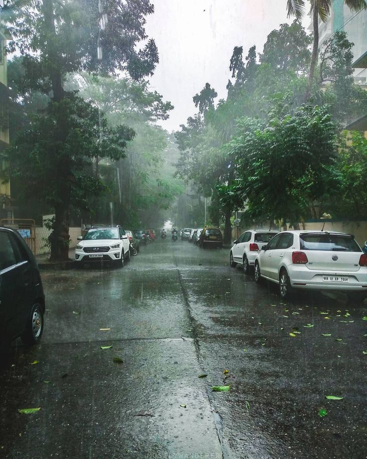 several cars parked on the street in the rain