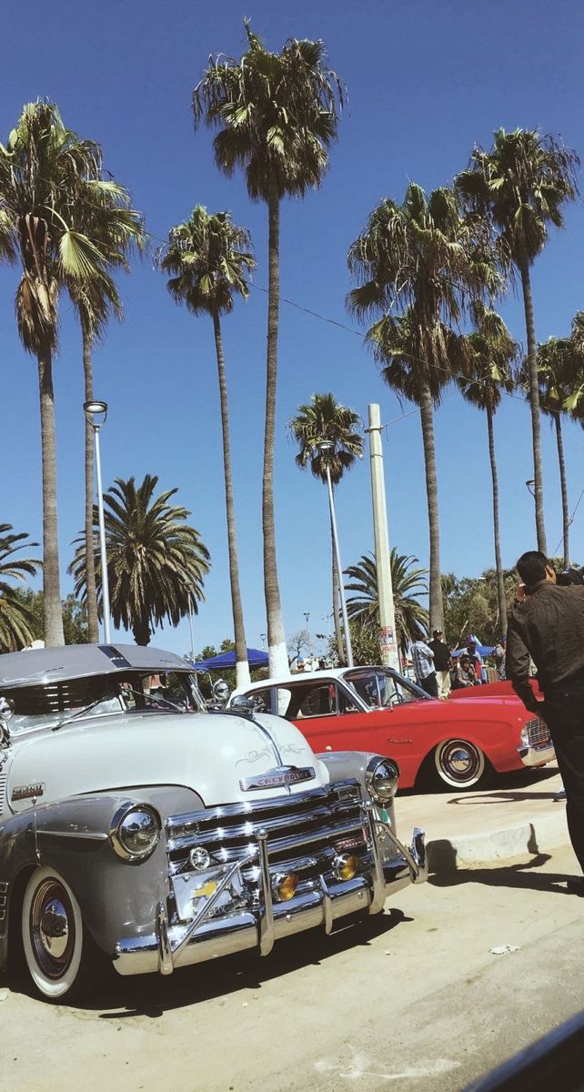 an old car is parked in front of some palm trees and other classic cars on the street