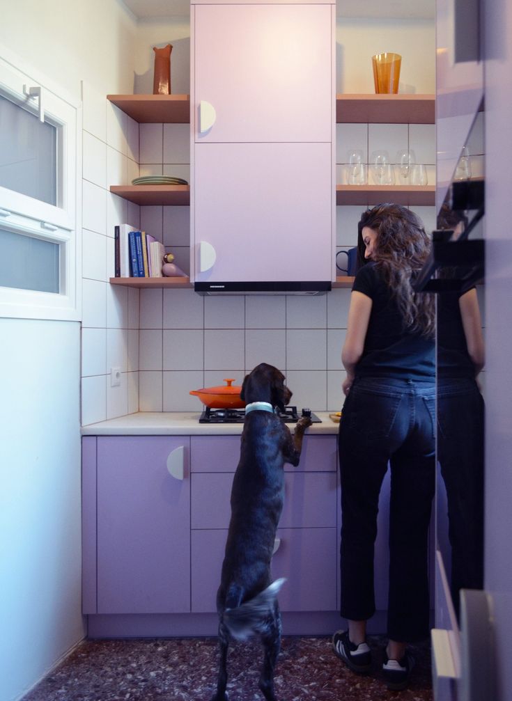 two women in a kitchen with a dog looking at the counter top and cabinets on either side