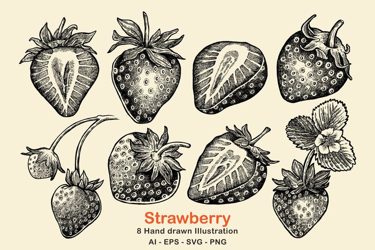 a bunch of strawberries on a white background with the words strawberry hand drawn in black ink