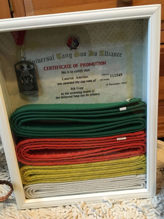 a display case with different colored ties in it