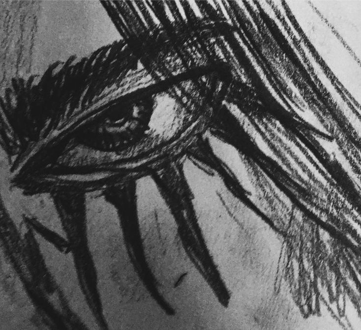 a pencil drawing of an eye