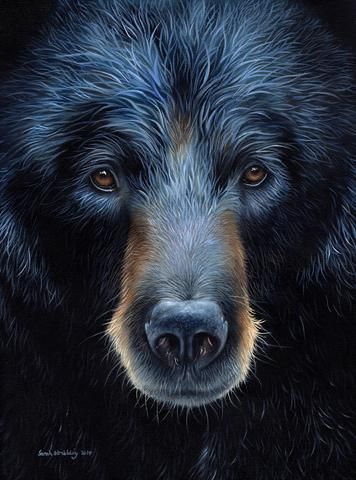 a painting of a black bear's face with brown eyes and blue fur on it