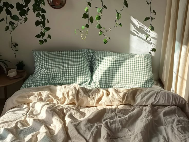 an unmade bed with green plants on the wall above it and a window in the background