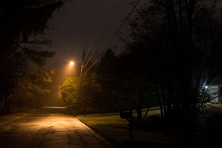 an empty street at night with light shining on the road and trees in the foreground