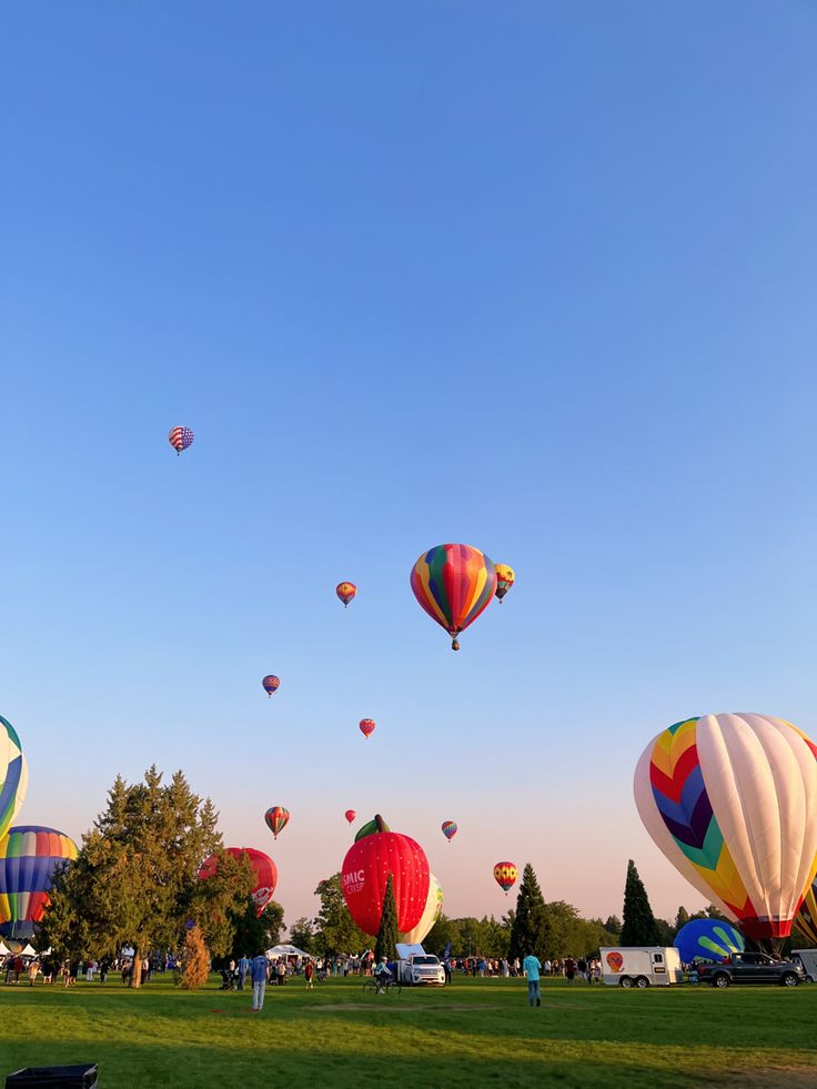 releasing hot air balloon’s in the park Hot Air Balloon Aesthetic, Air Balloon Festival, Hot Air Balloon Festival, Balloon Festival, Quiet Life, 2025 Vision, Hot Air Balloons, Air Balloons, 2024 Vision