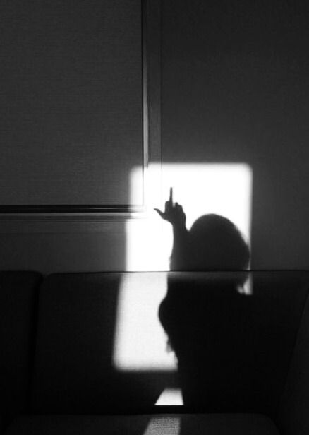 a black and white photo of a cat sitting on a couch in the sun,