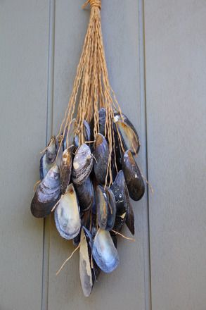 a bunch of clams hanging from the side of a door