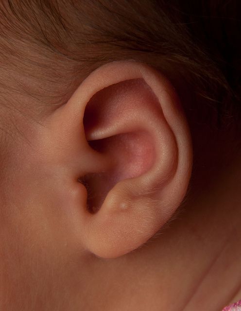 a close up of a baby's ear