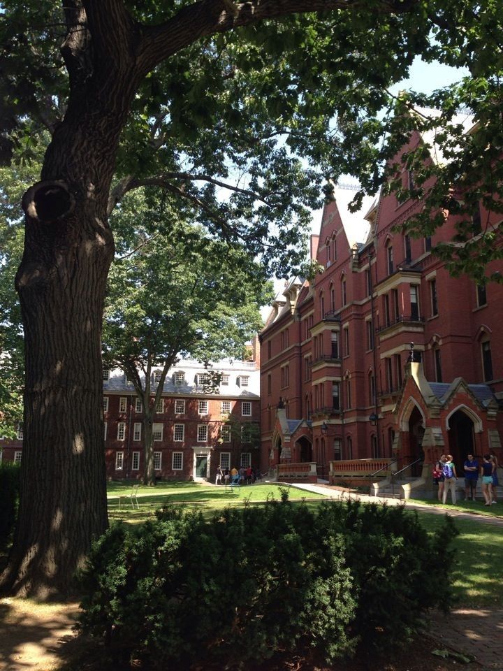 people are sitting on the grass in front of an old brick building with many windows