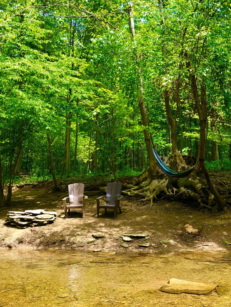 two chairs and a hammock in the middle of a wooded area with trees