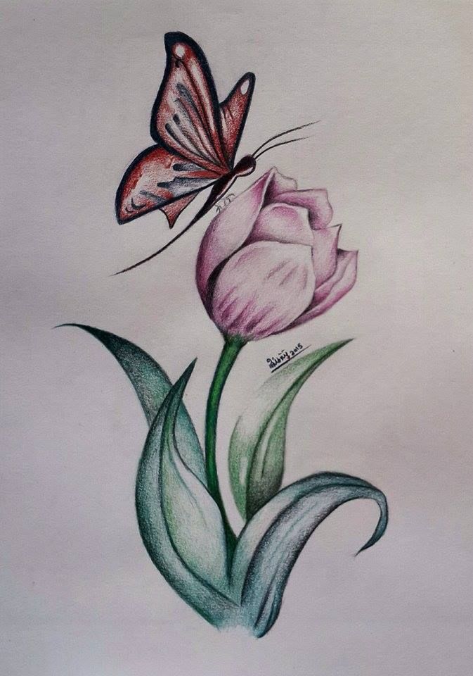 a drawing of a butterfly flying over a flower