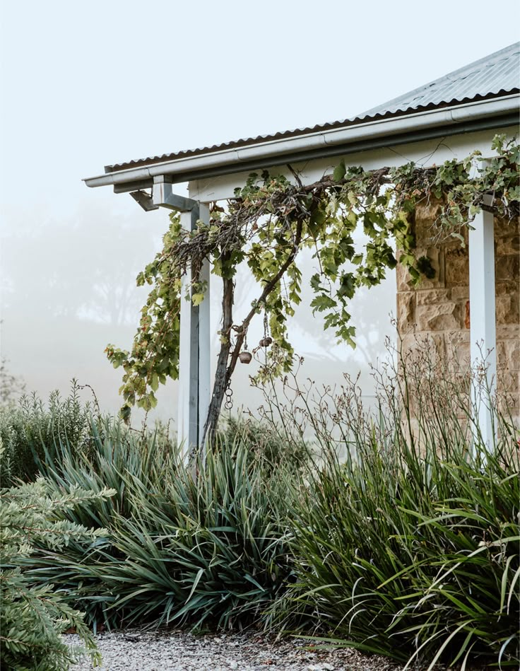 an old building with vines growing on it's roof and some bushes in the foreground