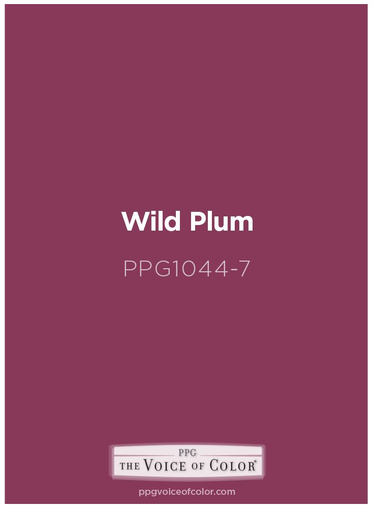 the words wild plum are written in white on a maroon background