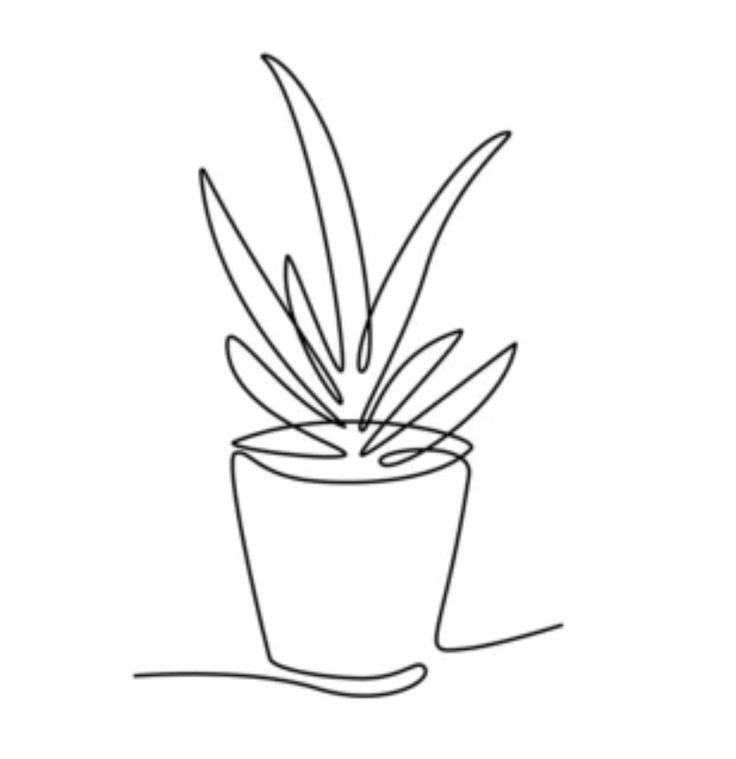 a line drawing of a potted plant