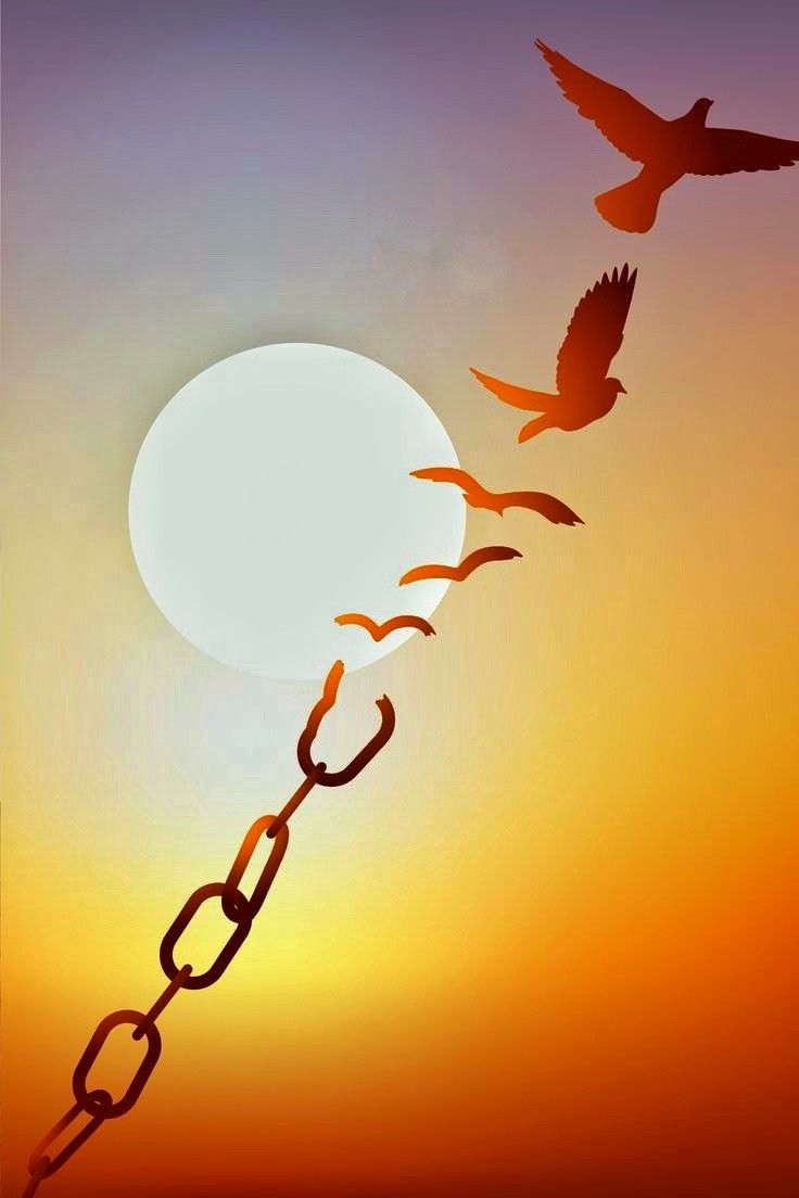 two birds flying in the sky at sunset with chain links attached to them and one bird on it's tail