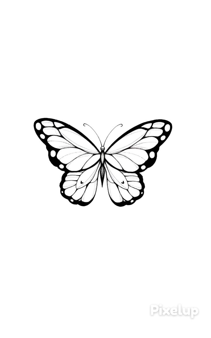 Butterfly Tattoos Stencil, Single Butterfly Tattoo, Butterfly Stencil Templates, Butterfly Stencil Tattoo, Butterfly Tattoo Drawing, Butterfly Tattoo Simple, Vintage Butterfly Tattoo, Simple Butterfly Drawing, Mariposas Tattoo