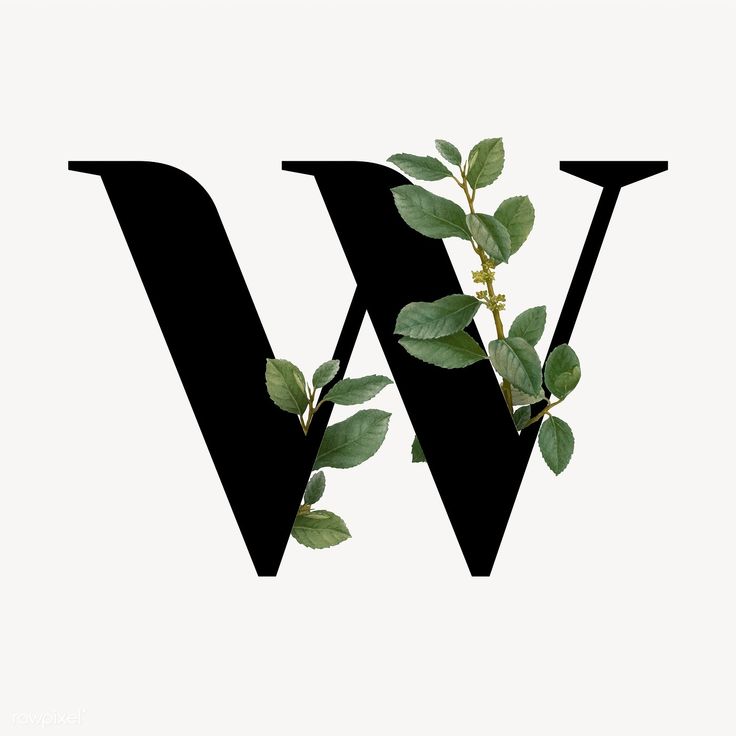 the letter w has leaves growing out of it