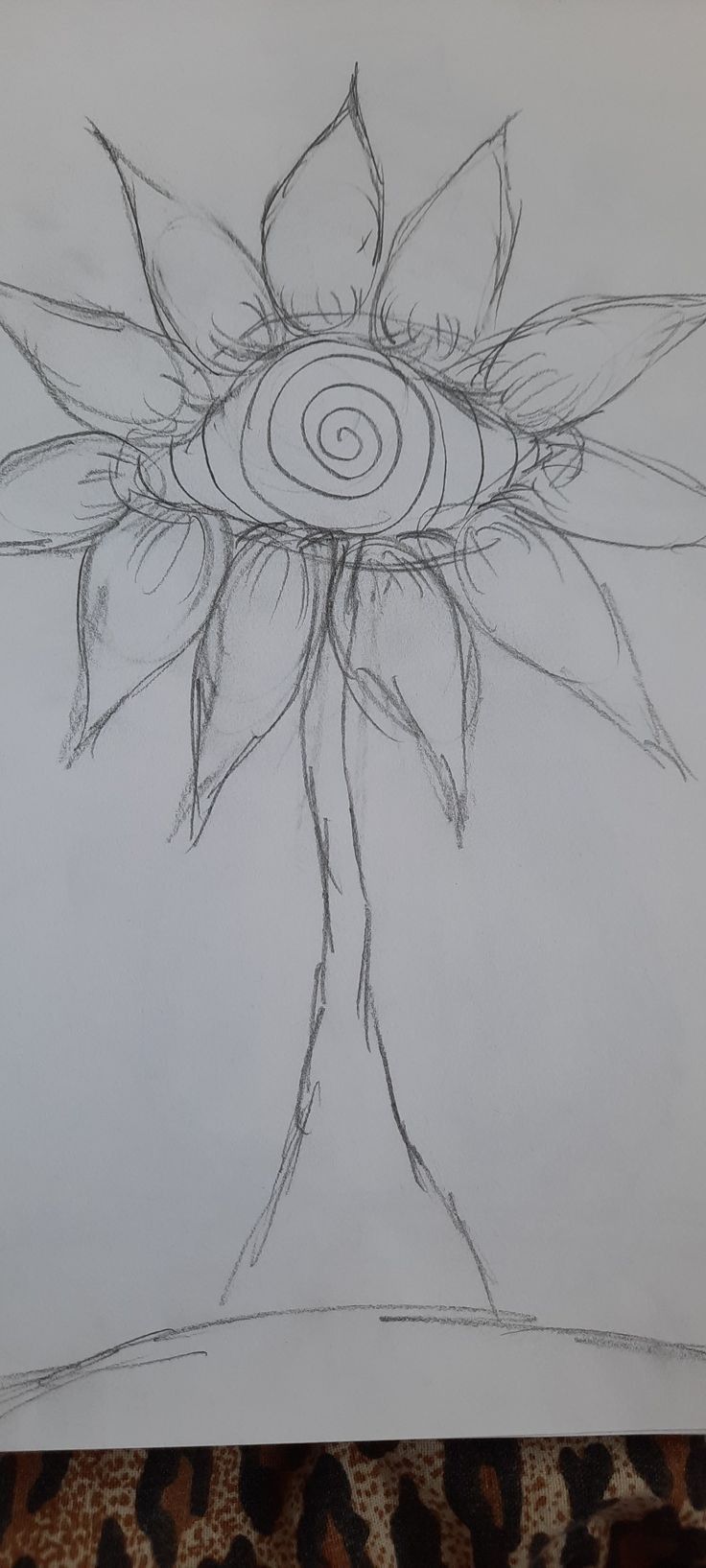 a drawing of a sunflower with spirals in the center on a piece of paper