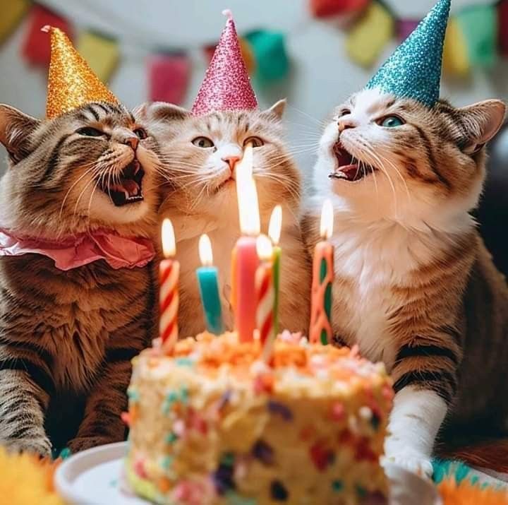 two cats sitting in front of a birthday cake