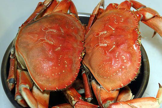 two crabs are sitting in a black bowl