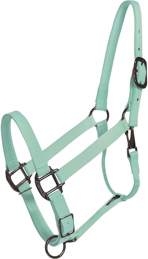 a light green bridle with black buckles