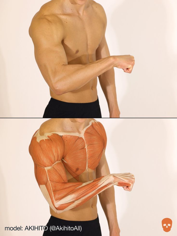 two pictures of a man's back and arm muscles, one showing the upper half of his body