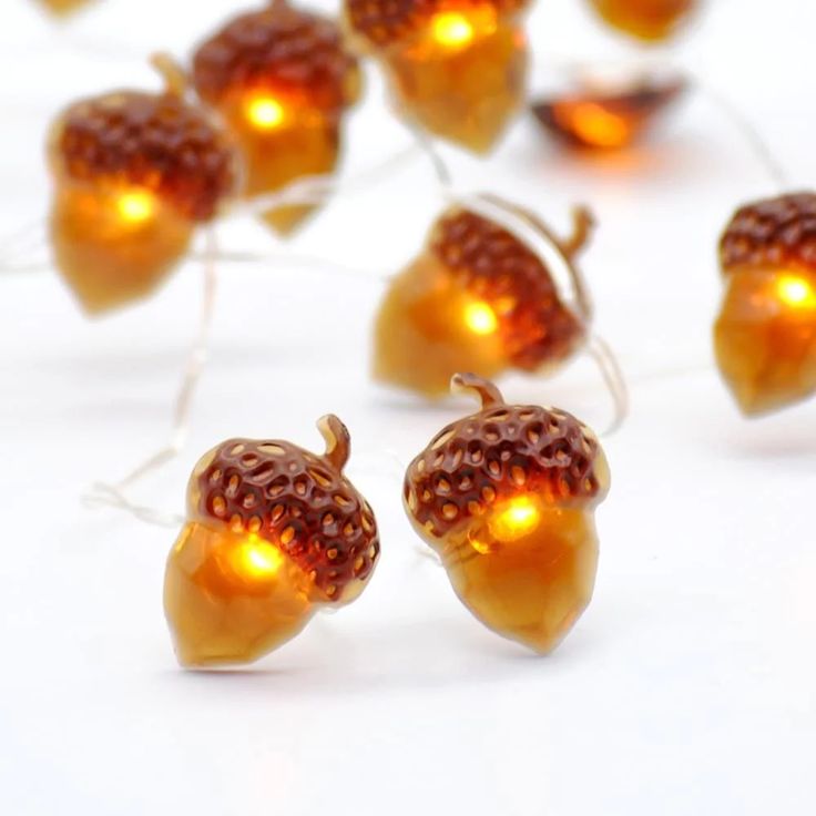 some lights that are shaped like acorns