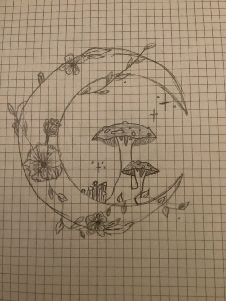 a drawing of mushrooms and flowers in a circle